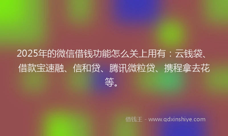 2025年的微信借钱功能怎么关上用有：云钱袋、借款宝速融、信和贷、腾讯微粒贷、携程拿去花等。