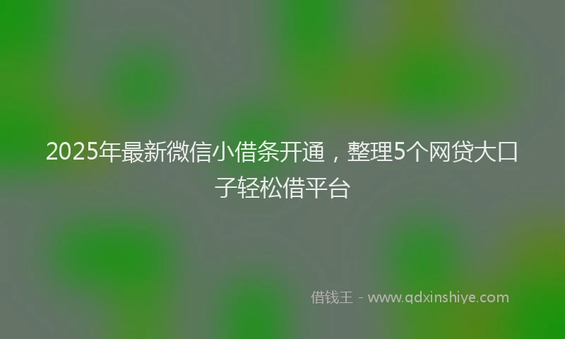 2025年最新微信小借条开通，整理5个网贷大口子轻松借平台