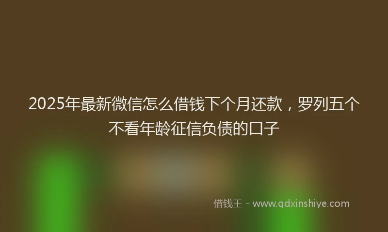 2025年最新微信怎么借钱下个月还款，罗列五个不看年龄征信负债的口子