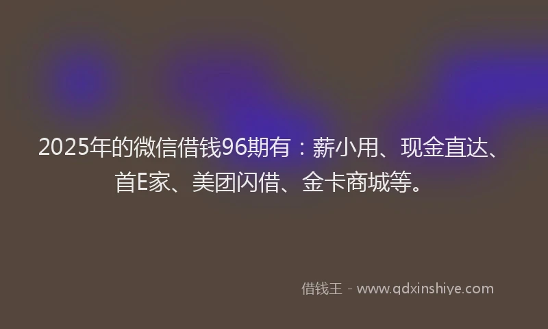 2025年的微信借钱96期有：薪小用、现金直达、首E家、美团闪借、金卡商城等。