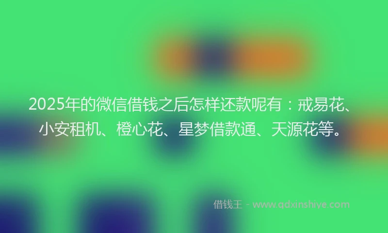 2025年的微信借钱之后怎样还款呢有：戒易花、小安租机、橙心花、星梦借款通、天源花等。