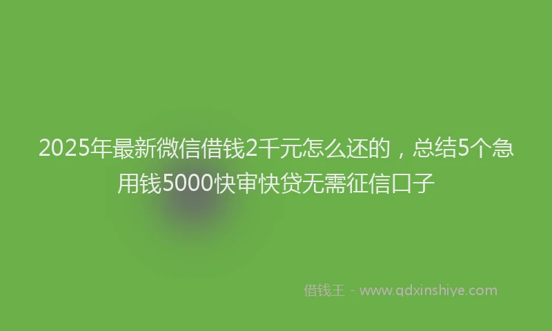 2025年最新微信借钱2千元怎么还的，总结5个急用钱5000快审快贷无需征信口子