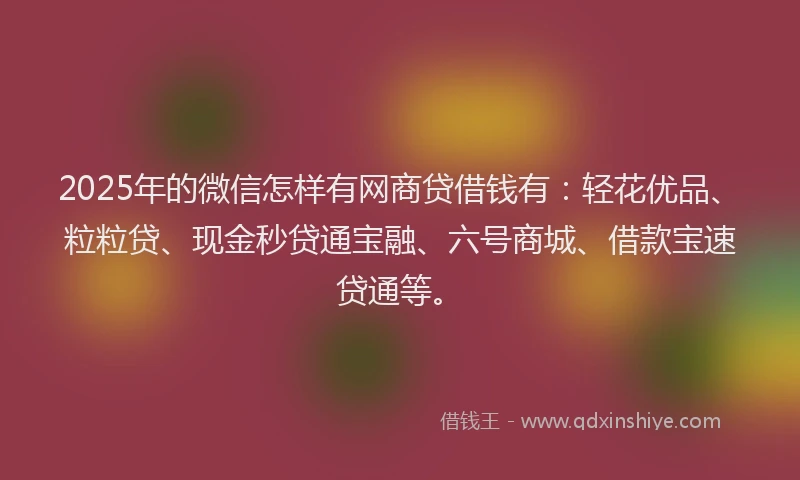 2025年的微信怎样有网商贷借钱有：轻花优品、粒粒贷、现金秒贷通宝融、六号商城、借款宝速贷通等。