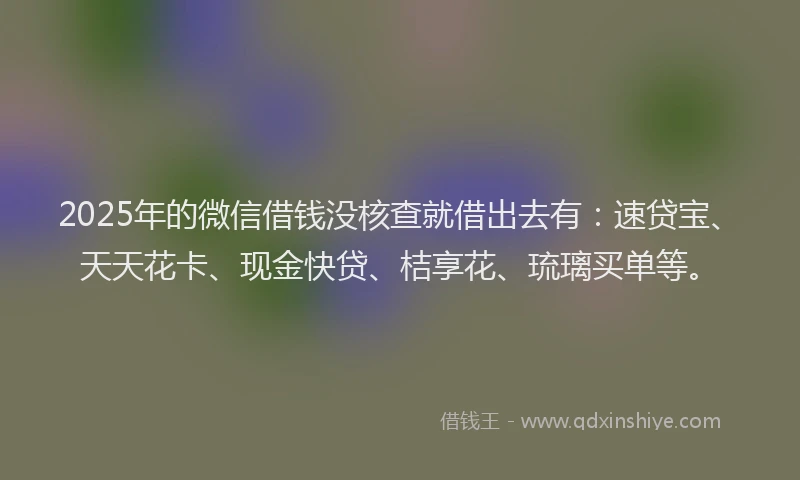 2025年的微信借钱没核查就借出去有：速贷宝、天天花卡、现金快贷、桔享花、琉璃买单等。