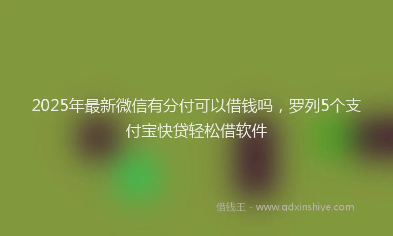 2025年最新微信有分付可以借钱吗，罗列5个支付宝快贷轻松借软件