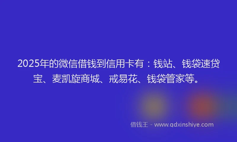 2025年的微信借钱到信用卡有：钱站、钱袋速贷宝、麦凯旋商城、戒易花、钱袋管家等。