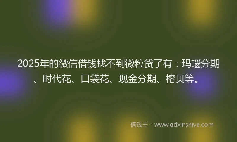 2025年的微信借钱找不到微粒贷了有：玛瑙分期、时代花、口袋花、现金分期、榕贝等。