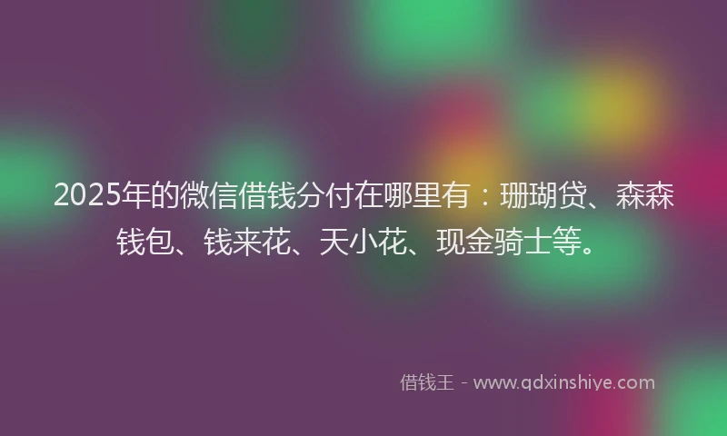 2025年的微信借钱分付在哪里有：珊瑚贷、森森钱包、钱来花、天小花、现金骑士等。