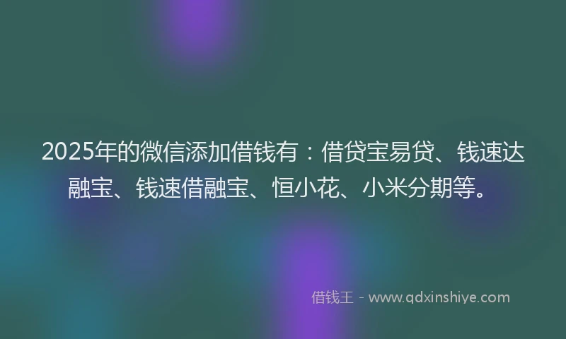 2025年的微信添加借钱有：借贷宝易贷、钱速达融宝、钱速借融宝、恒小花、小米分期等。