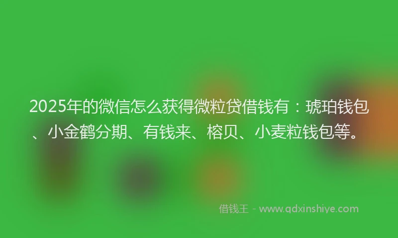 2025年的微信怎么获得微粒贷借钱有：琥珀钱包、小金鹤分期、有钱来、榕贝、小麦粒钱包等。