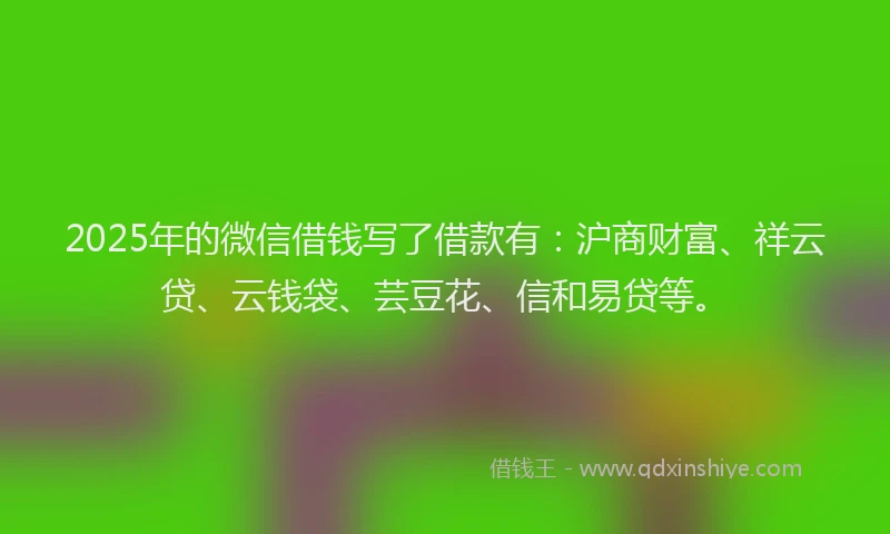 2025年的微信借钱写了借款有：沪商财富、祥云贷、云钱袋、芸豆花、信和易贷等。