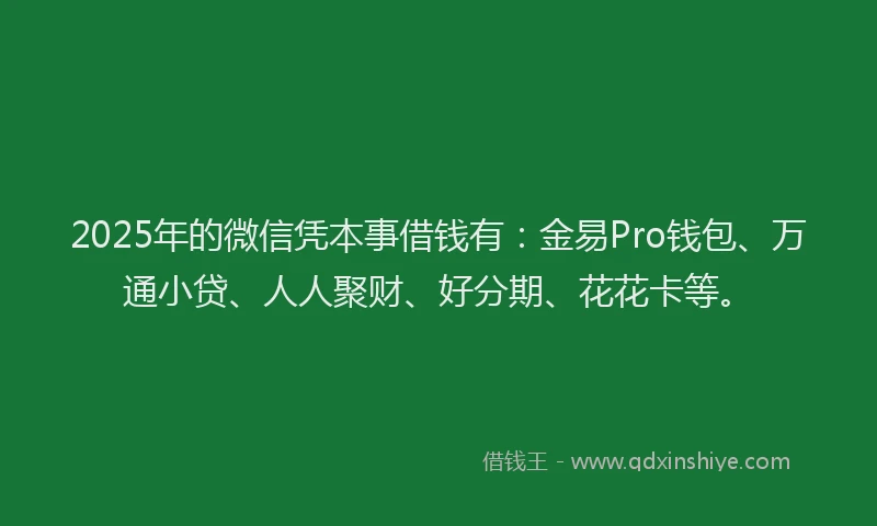 2025年的微信凭本事借钱有：金易Pro钱包、万通小贷、人人聚财、好分期、花花卡等。
