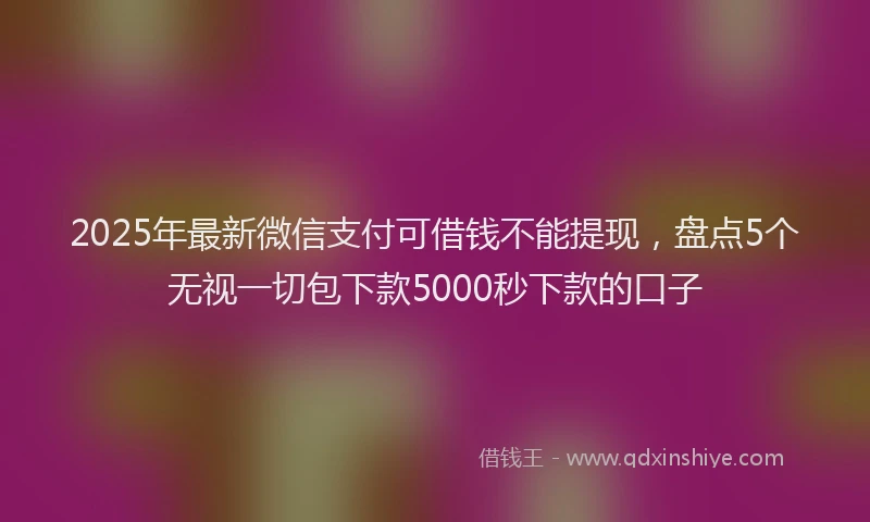 2025年最新微信支付可借钱不能提现，盘点5个无视一切包下款5000秒下款的口子