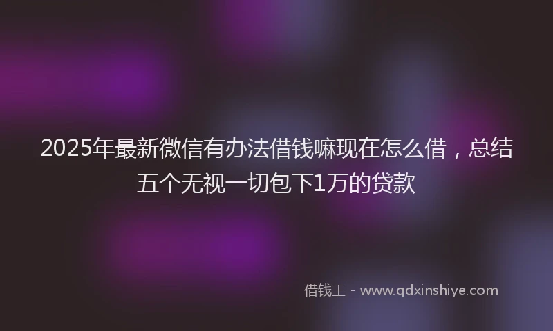 2025年最新微信有办法借钱嘛现在怎么借，总结五个无视一切包下1万的贷款