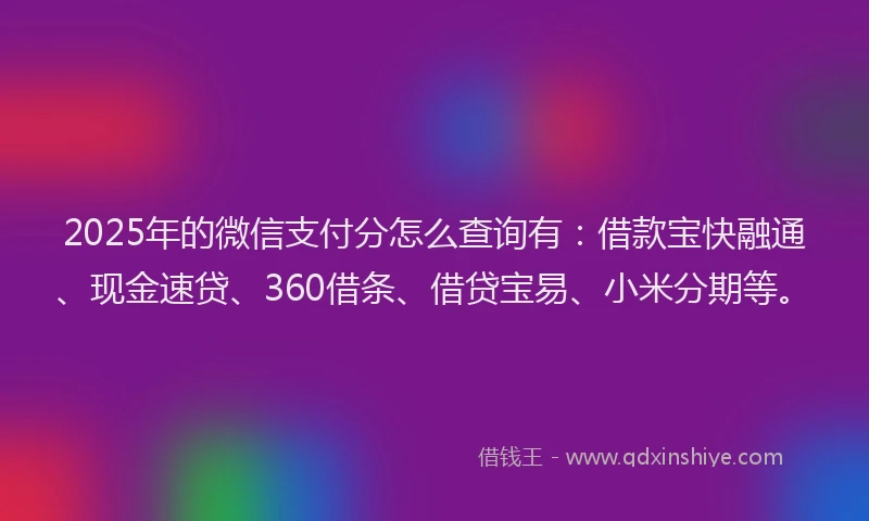 2025年的微信支付分怎么查询有：借款宝快融通、现金速贷、360借条、借贷宝易、小米分期等。