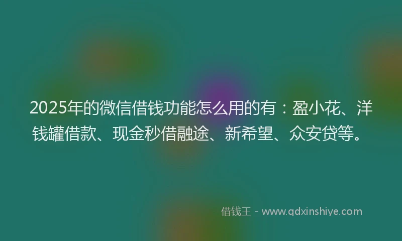 2025年的微信借钱功能怎么用的有：盈小花、洋钱罐借款、现金秒借融途、新希望、众安贷等。