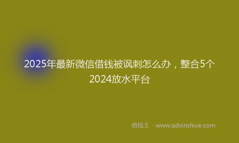 2025年最新微信借钱被讽刺怎么办，整合5个2024放水平台
