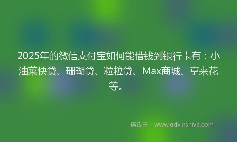 2025年的微信支付宝如何能借钱到银行卡有：小油菜快贷、珊瑚贷、粒粒贷、Max商城、享来花等。
