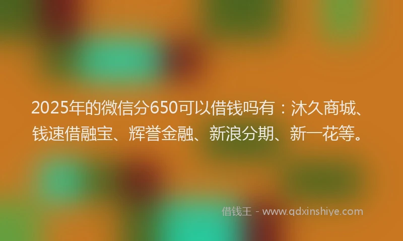 2025年的微信分650可以借钱吗有：沐久商城、钱速借融宝、辉誉金融、新浪分期、新一花等。