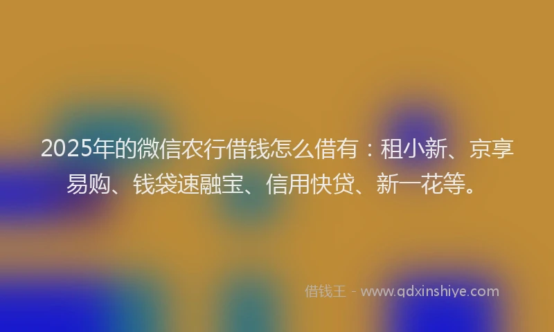 2025年的微信农行借钱怎么借有：租小新、京享易购、钱袋速融宝、信用快贷、新一花等。