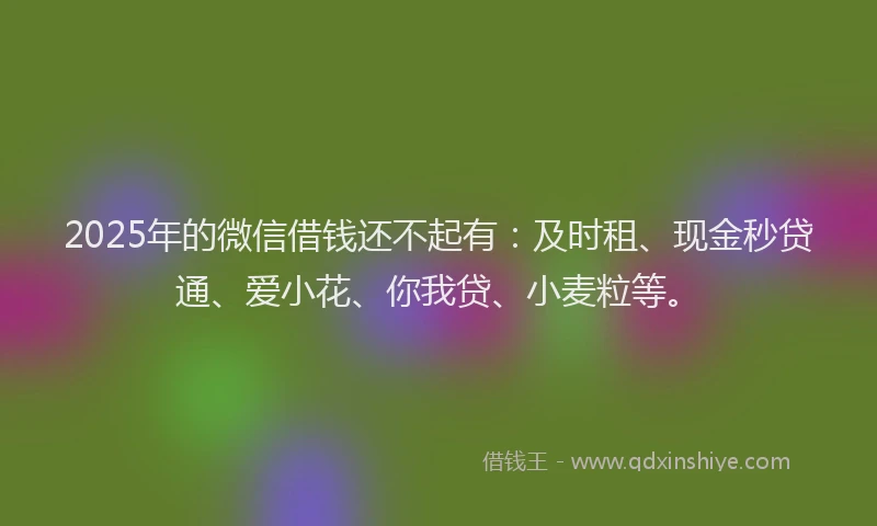 2025年的微信借钱还不起有：及时租、现金秒贷通、爱小花、你我贷、小麦粒等。