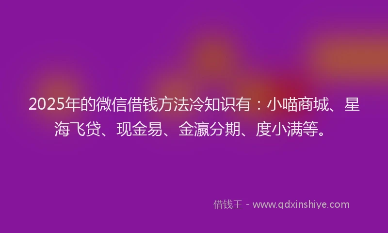 2025年的微信借钱方法冷知识有：小喵商城、星海飞贷、现金易、金瀛分期、度小满等。