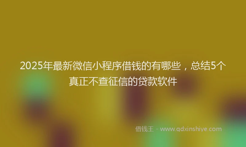 2025年最新微信小程序借钱的有哪些，总结5个真正不查征信的贷款软件