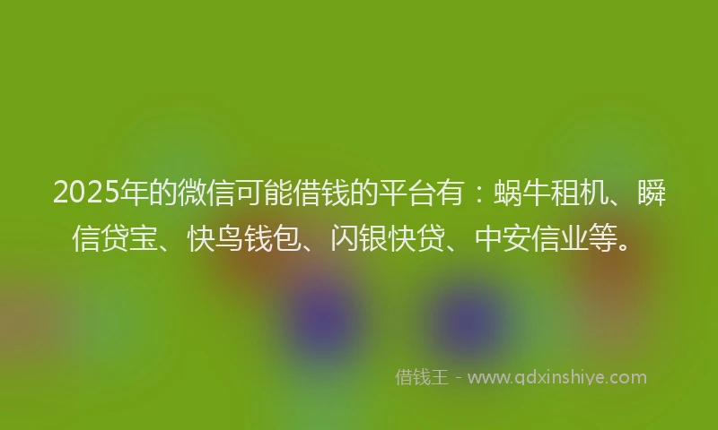 2025年的微信可能借钱的平台有：蜗牛租机、瞬信贷宝、快鸟钱包、闪银快贷、中安信业等。