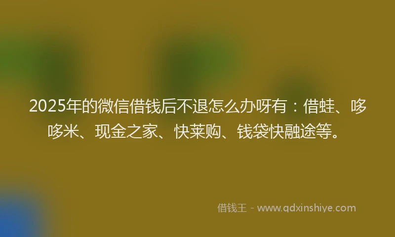 2025年的微信借钱后不退怎么办呀有：借蛙、哆哆米、现金之家、快莱购、钱袋快融途等。