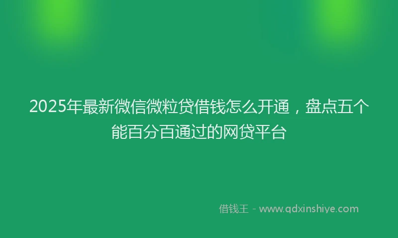 2025年最新微信微粒贷借钱怎么开通，盘点五个能百分百通过的网贷平台