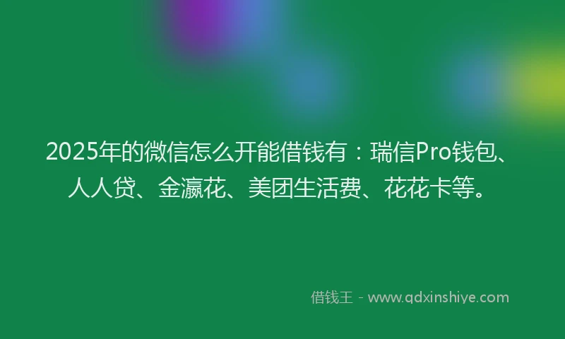 2025年的微信怎么开能借钱有：瑞信Pro钱包、人人贷、金瀛花、美团生活费、花花卡等。