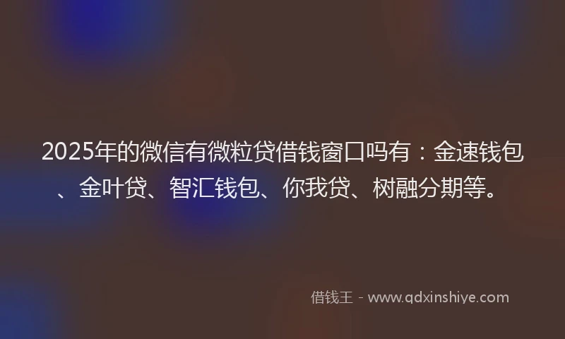 2025年的微信有微粒贷借钱窗口吗有：金速钱包、金叶贷、智汇钱包、你我贷、树融分期等。