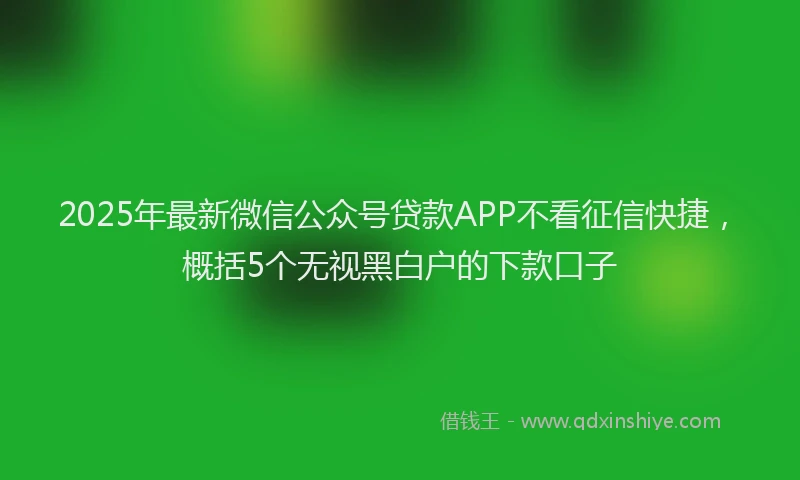 2025年最新微信公众号贷款APP不看征信快捷，概括5个无视黑白户的下款口子