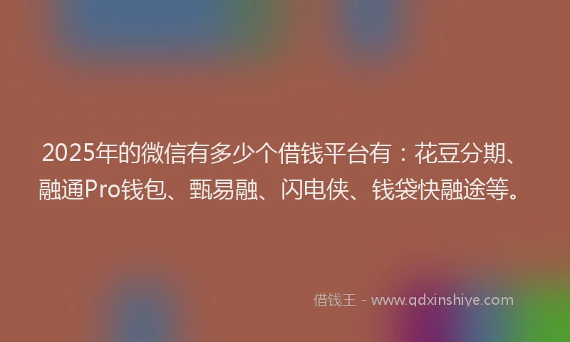 2025年的微信有多少个借钱平台有：花豆分期、融通Pro钱包、甄易融、闪电侠、钱袋快融途等。