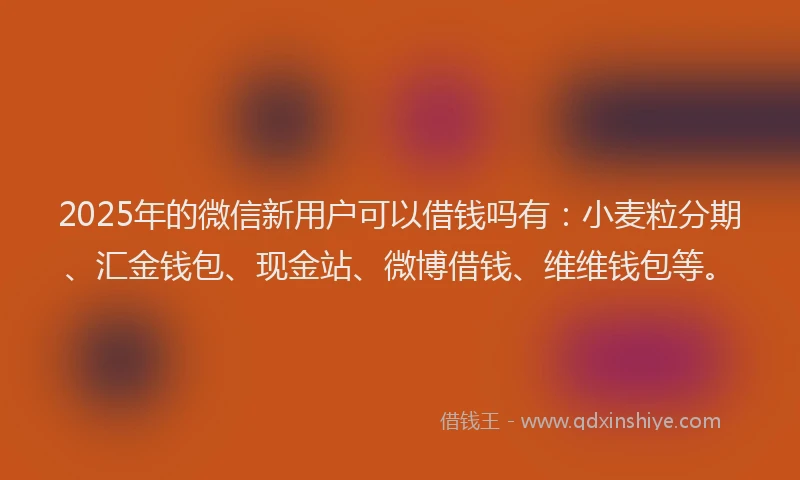 2025年的微信新用户可以借钱吗有：小麦粒分期、汇金钱包、现金站、微博借钱、维维钱包等。