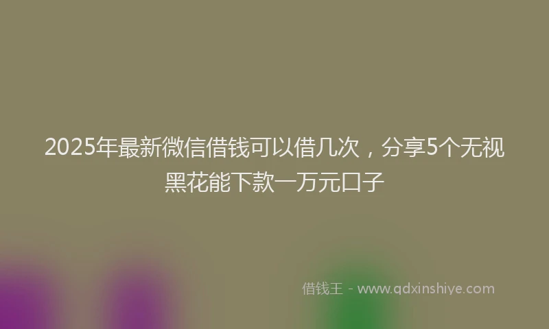 2025年最新微信借钱可以借几次，分享5个无视黑花能下款一万元口子