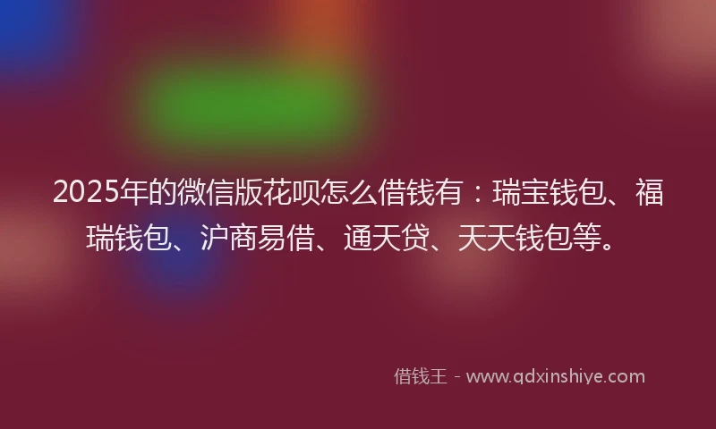 2025年的微信版花呗怎么借钱有：瑞宝钱包、福瑞钱包、沪商易借、通天贷、天天钱包等。