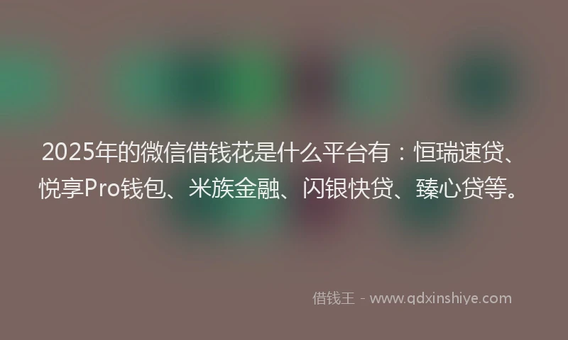 2025年的微信借钱花是什么平台有：恒瑞速贷、悦享Pro钱包、米族金融、闪银快贷、臻心贷等。