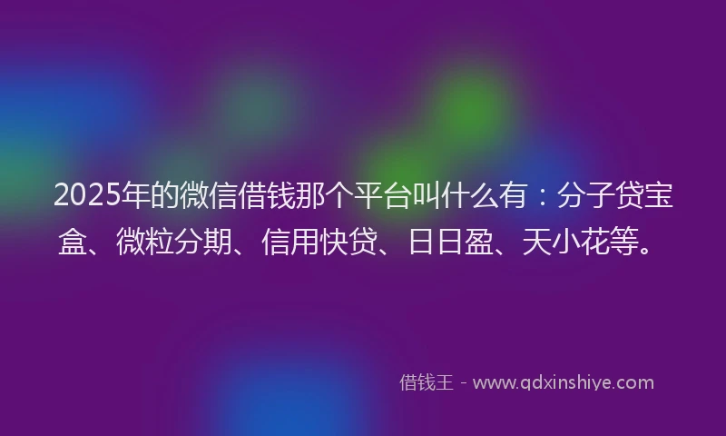 2025年的微信借钱那个平台叫什么有：分子贷宝盒、微粒分期、信用快贷、日日盈、天小花等。
