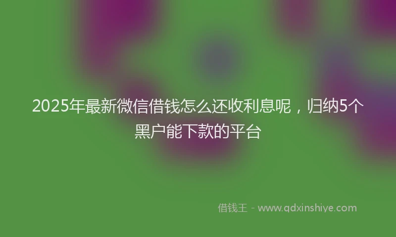 2025年最新微信借钱怎么还收利息呢，归纳5个黑户能下款的平台