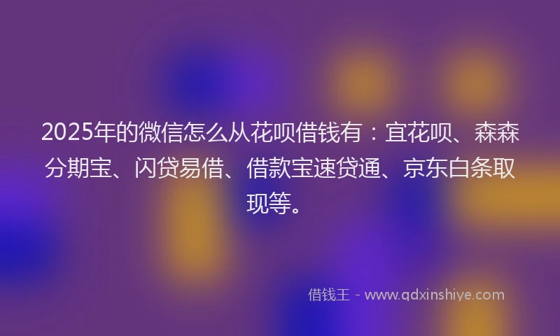 2025年的微信怎么从花呗借钱有：宜花呗、森森分期宝、闪贷易借、借款宝速贷通、京东白条取现等。