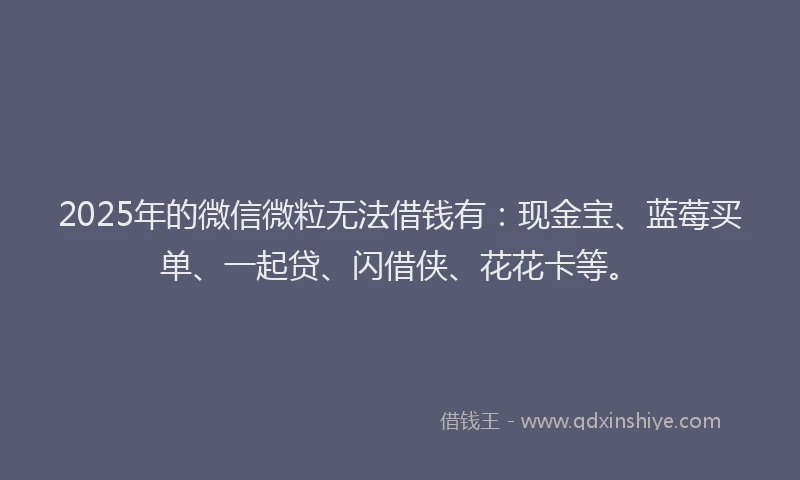 2025年的微信微粒无法借钱有：现金宝、蓝莓买单、一起贷、闪借侠、花花卡等。