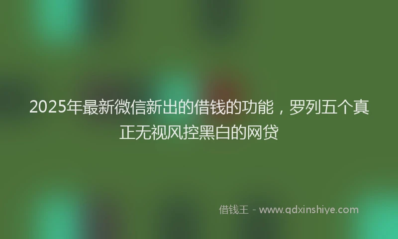 2025年最新微信新出的借钱的功能，罗列五个真正无视风控黑白的网贷