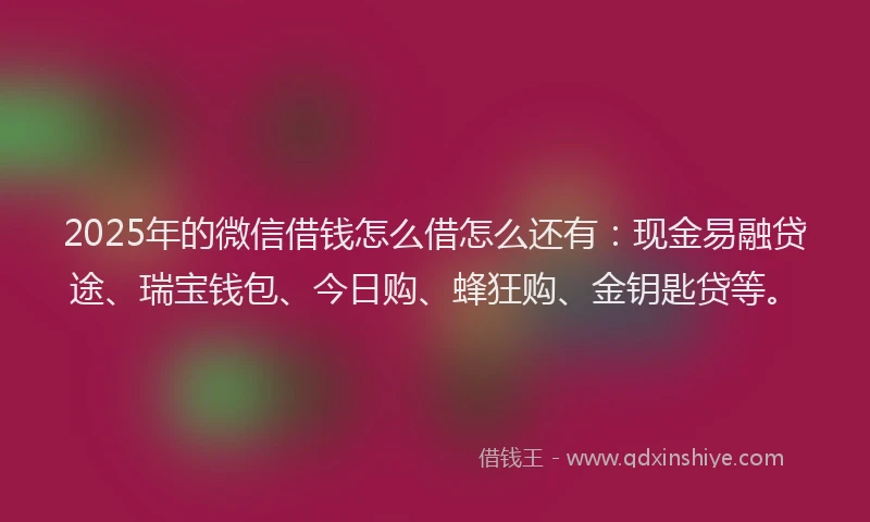 2025年的微信借钱怎么借怎么还有：现金易融贷途、瑞宝钱包、今日购、蜂狂购、金钥匙贷等。