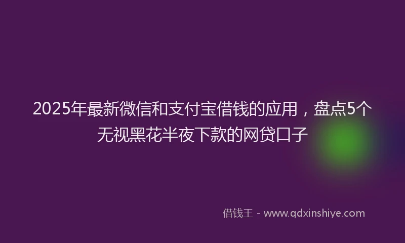 2025年最新微信和支付宝借钱的应用，盘点5个无视黑花半夜下款的网贷口子