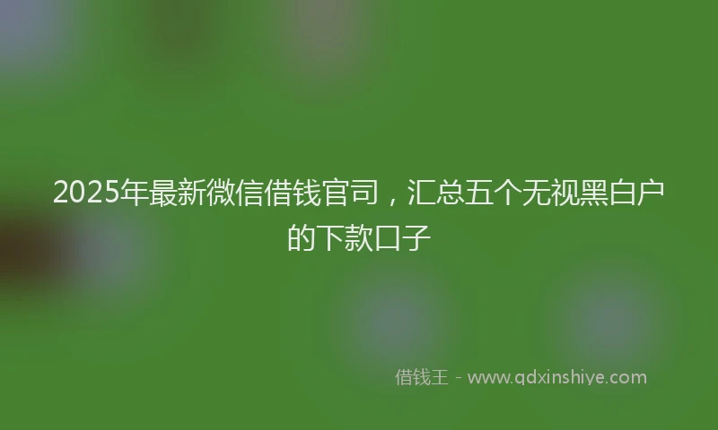 2025年最新微信借钱官司，汇总五个无视黑白户的下款口子