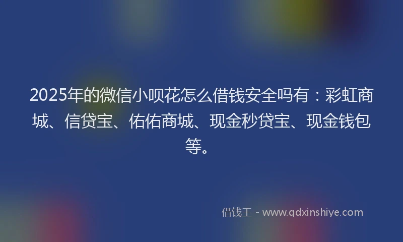 2025年的微信小呗花怎么借钱安全吗有：彩虹商城、信贷宝、佑佑商城、现金秒贷宝、现金钱包等。