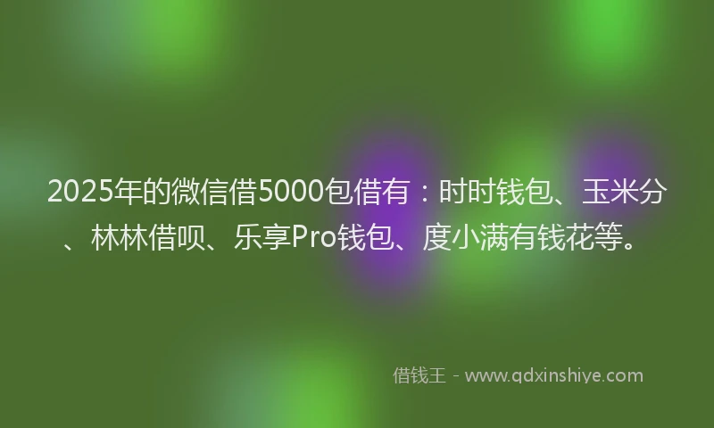 2025年的微信借5000包借有：时时钱包、玉米分、林林借呗、乐享Pro钱包、度小满有钱花等。