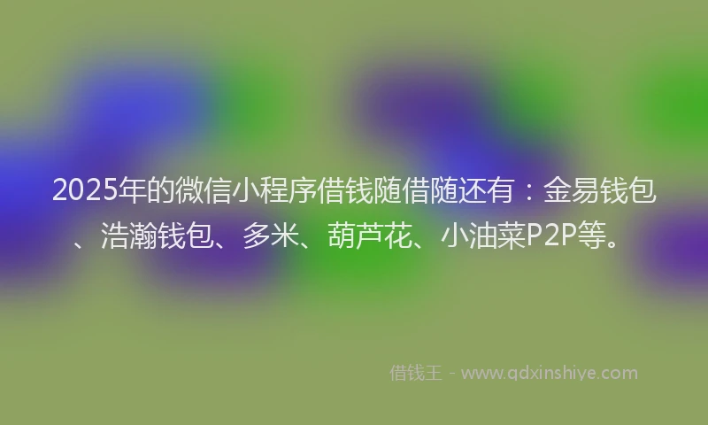 2025年的微信小程序借钱随借随还有：金易钱包、浩瀚钱包、多米、葫芦花、小油菜P2P等。