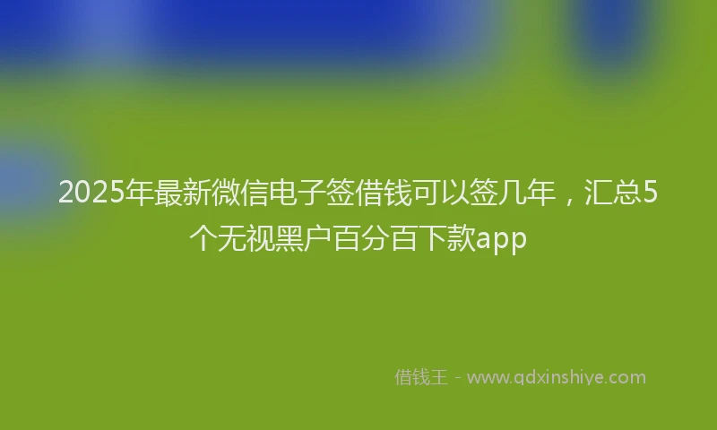 2025年最新微信电子签借钱可以签几年，汇总5个无视黑户百分百下款app
